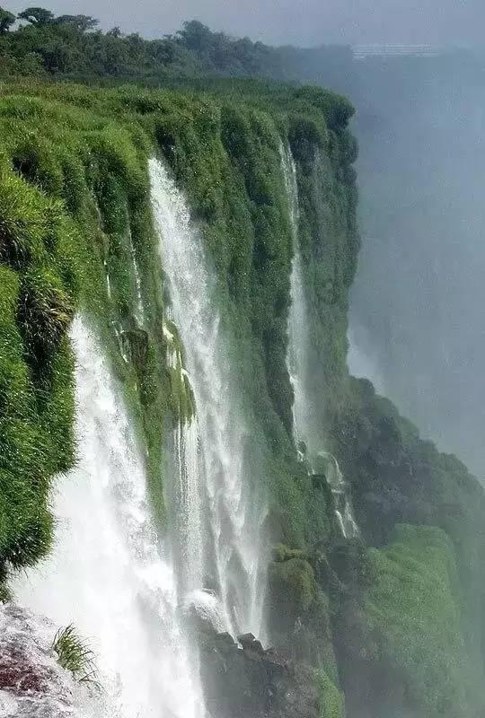 救援蓝色小鱼